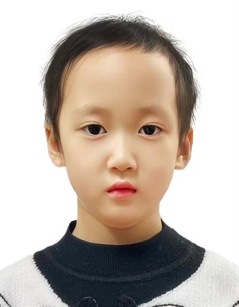 Profile picture of Liang Zixin