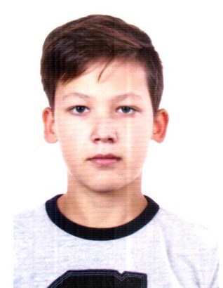 Profile picture of Daniil Sibiryakov