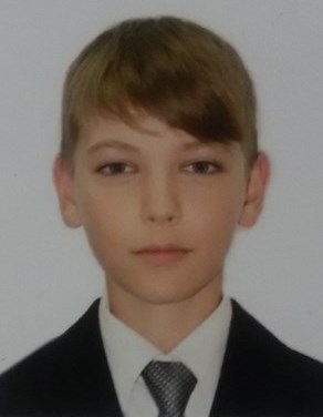 Profile picture of Daniil Sergeev