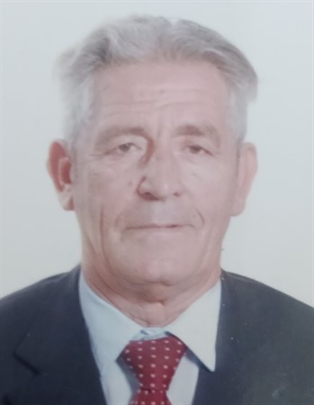 Profile picture of Giuseppe Alfieri